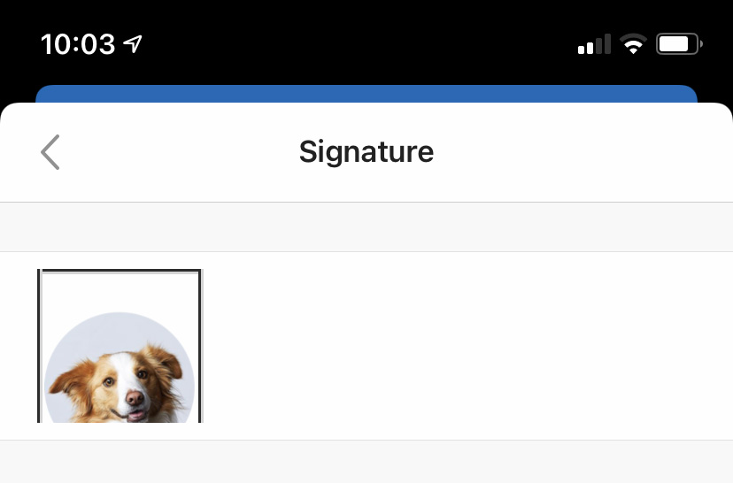 Screenshot of the signature setting in Outlook iOS